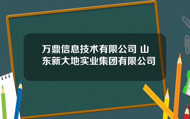 万鼎信息技术有限公司 山东新大地实业集团有限公司